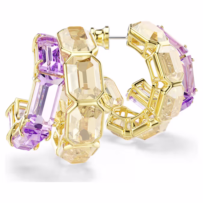 Millenia hoop earrings